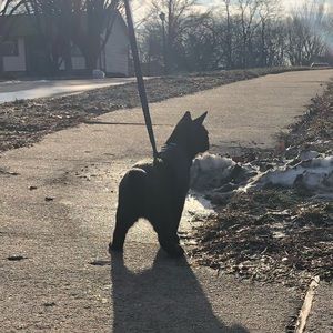 Meet your Posher, Oliver